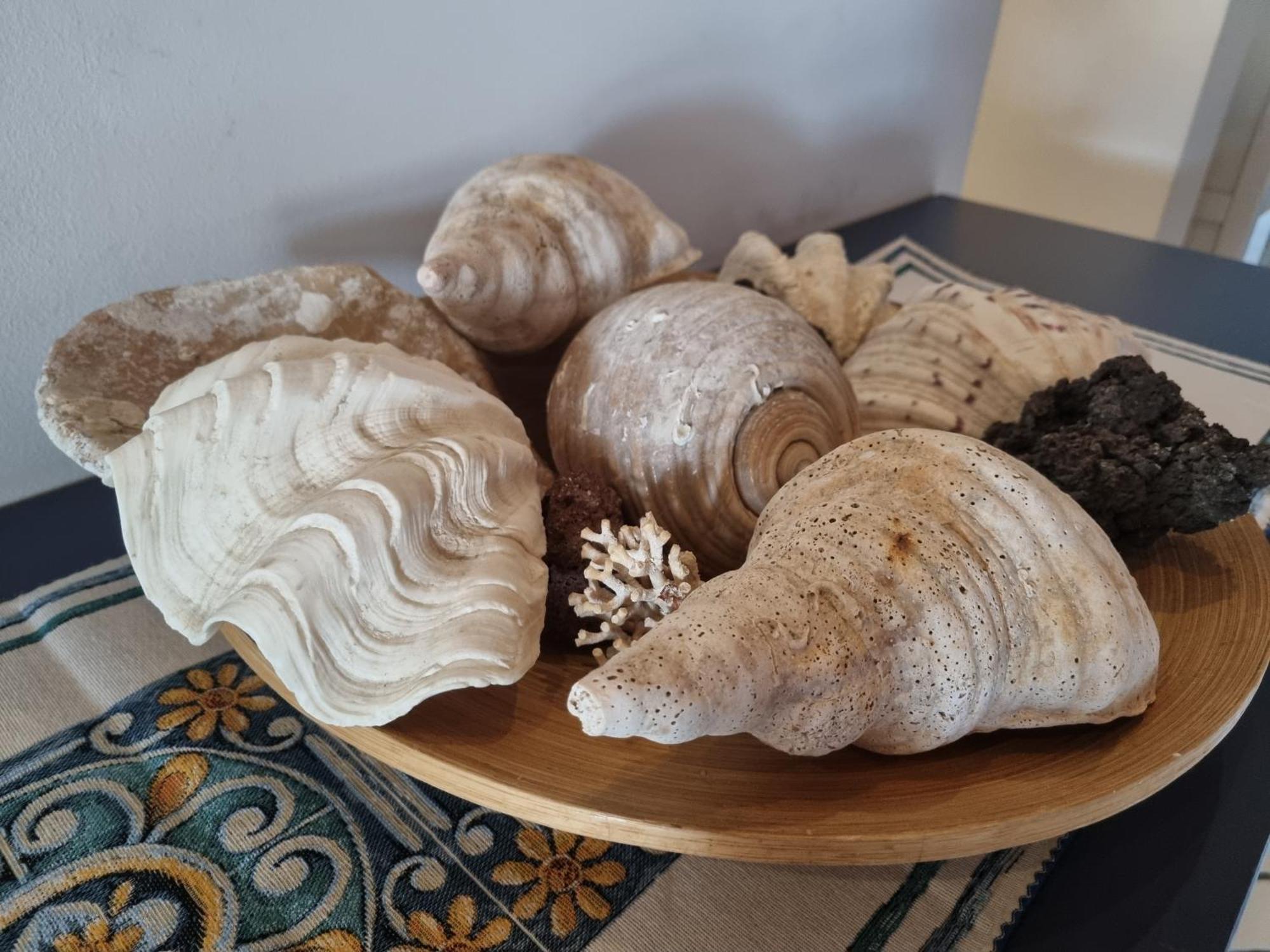 Villa Sicily Sul Mare Tra Catania E Siracusa 奥古斯塔 外观 照片