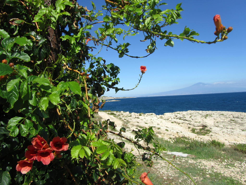 Villa Sicily Sul Mare Tra Catania E Siracusa 奥古斯塔 客房 照片