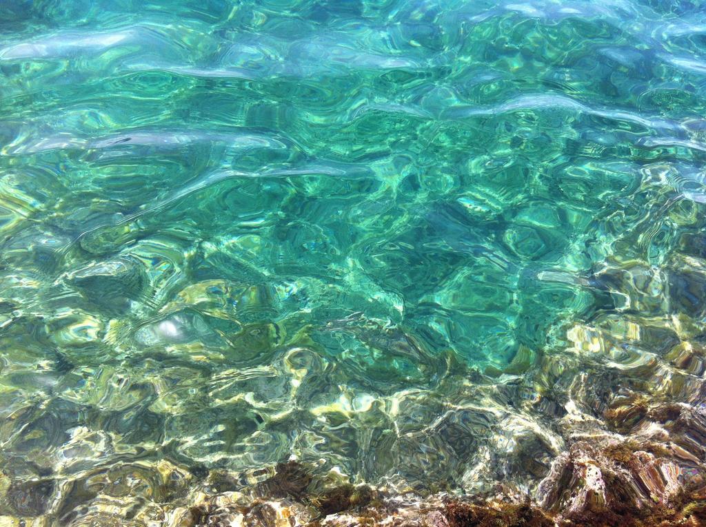 Villa Sicily Sul Mare Tra Catania E Siracusa 奥古斯塔 客房 照片