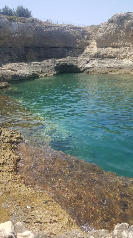 Villa Sicily Sul Mare Tra Catania E Siracusa 奥古斯塔 外观 照片