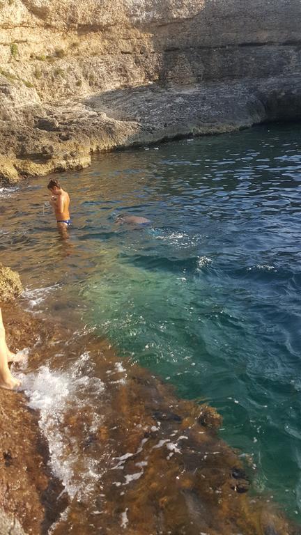 Villa Sicily Sul Mare Tra Catania E Siracusa 奥古斯塔 外观 照片